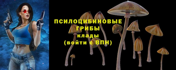 Альфа ПВП Абаза