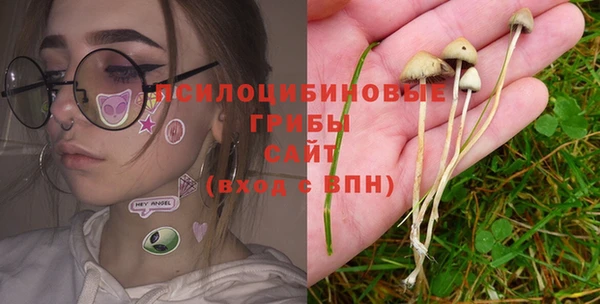 Альфа ПВП Абдулино