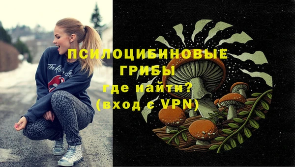spice Алексин